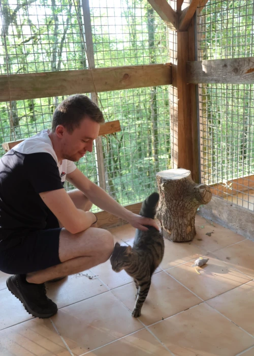 Le domaine de la Chesnaie - pension pour chiens et chats Le domaine de la Chesnaie - pension pour chiens et chats