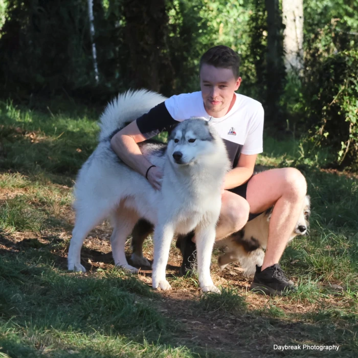 Le domaine de la Chesnaie - pension pour chiens et chats