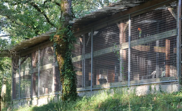 Le domaine de la Chesnaie - pension pour chiens et chats Le domaine de la Chesnaie - pension pour chiens et chats