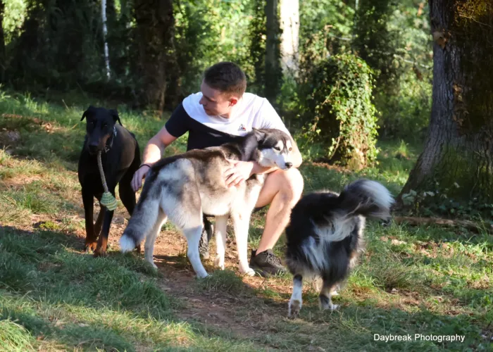 Le domaine de la Chesnaie - pension pour chiens et chats