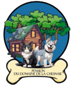 cropped cropped logo fond transparent 1.png