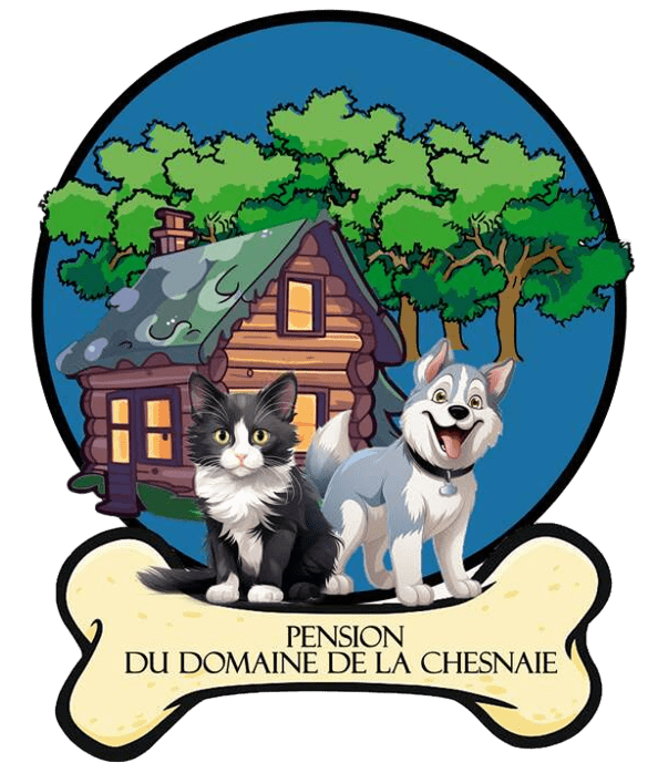 cropped cropped logo fond transparent 1.png