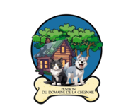 logo fond transparent