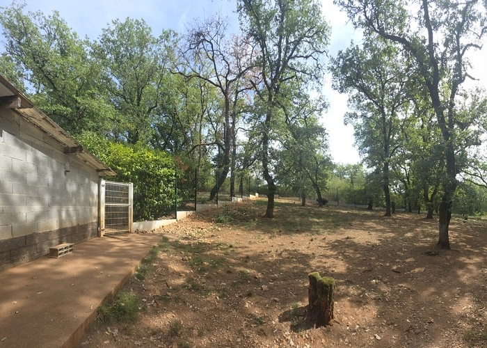 Pension pour chiens et chat à Souillac, Domaine de la Chesnaie