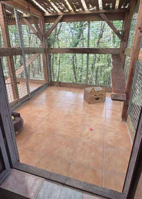 pension pour chat à Souillac, le Domaine de la Chesnaie
